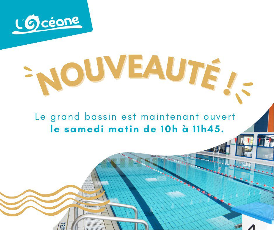 Odoo image et bloc de texte